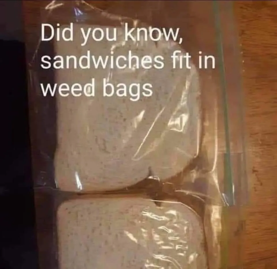 sandwich meme