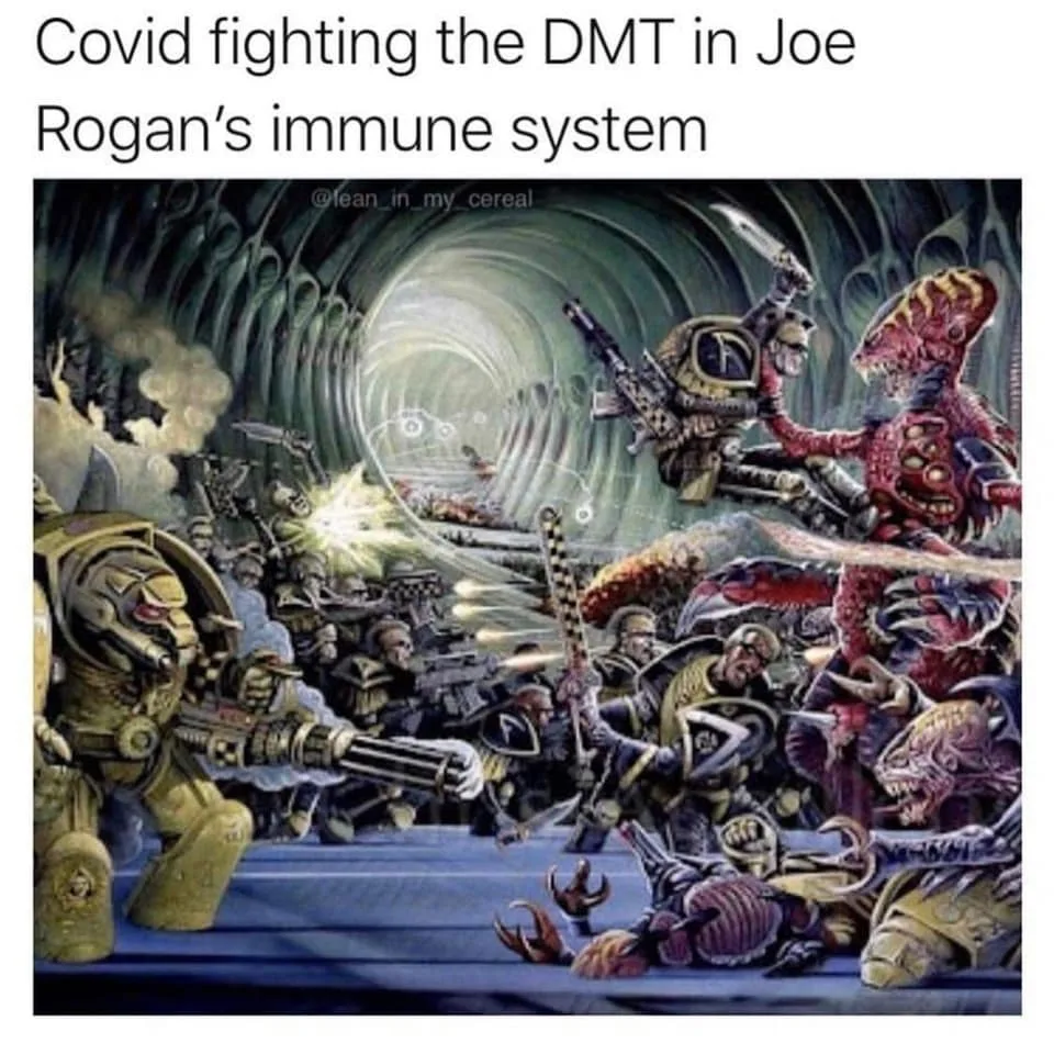 DMT meme