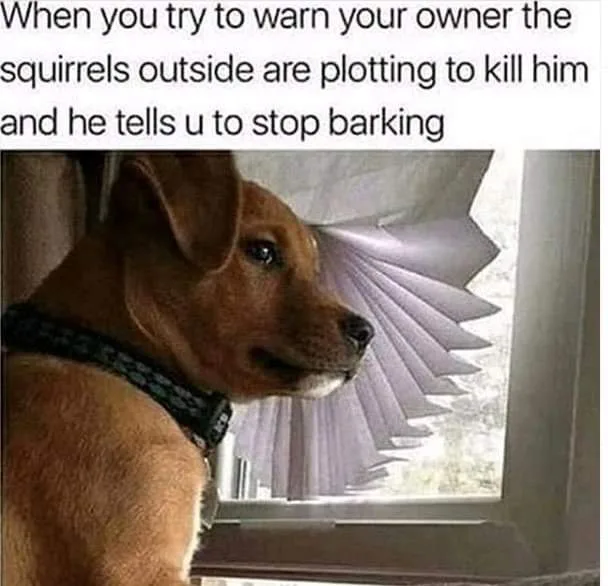 guard dog meme