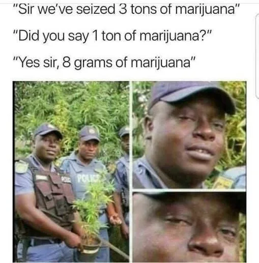 War on Drugs meme