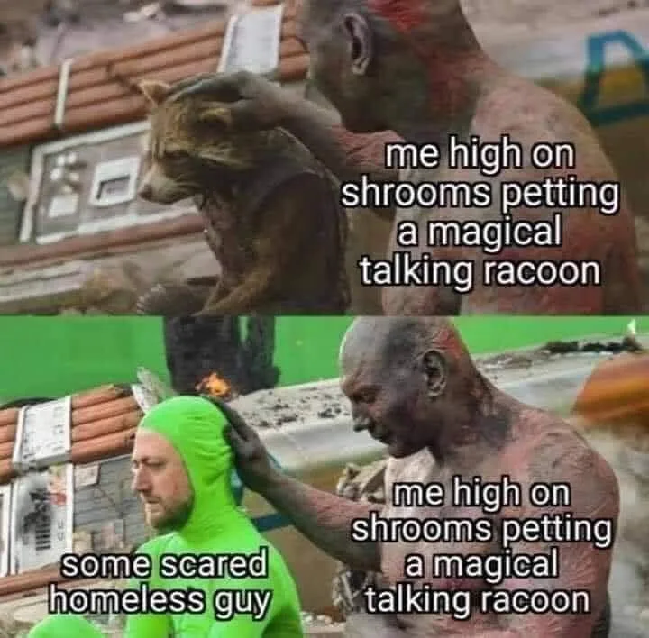magic mushrooms meme