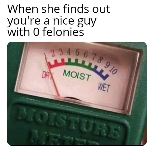 rebel meme