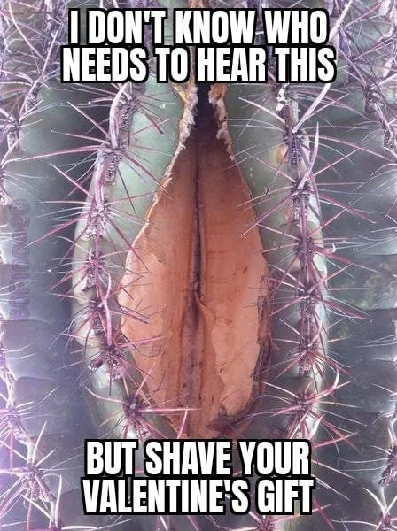 shaving your pubes meme
