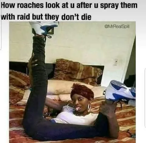 cockroach meme