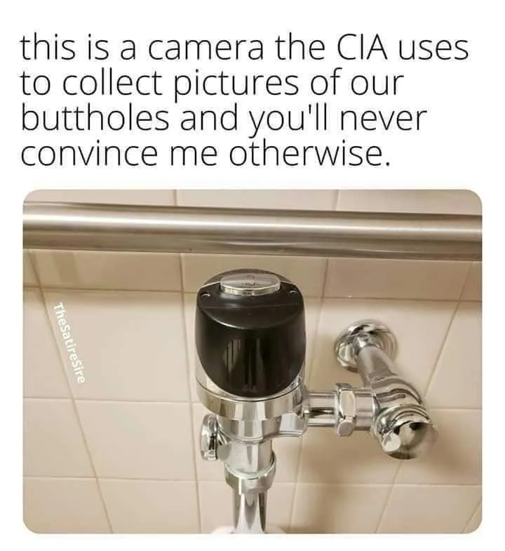 Big Brother meme