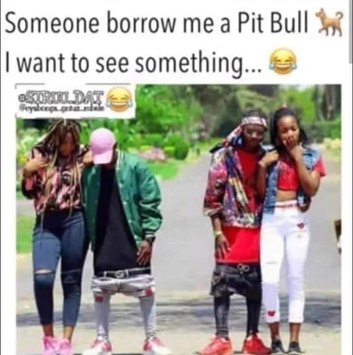 pants meme