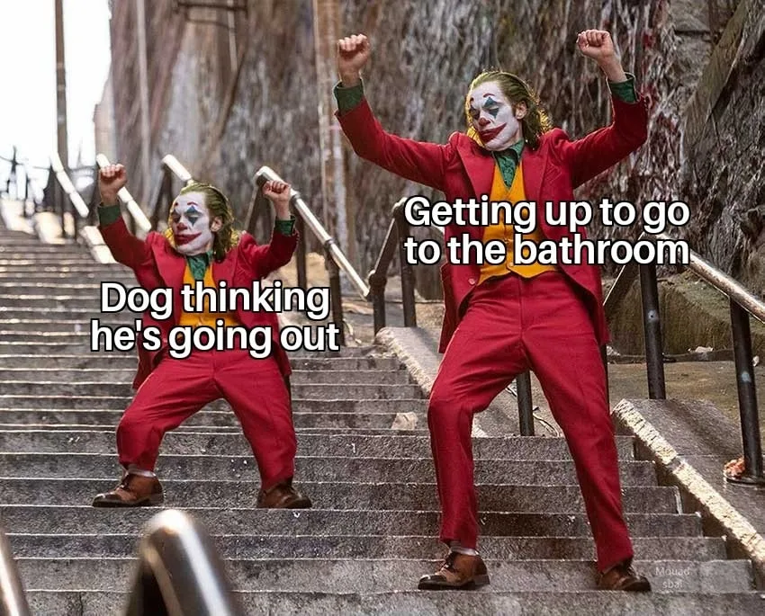 walking the dog meme
