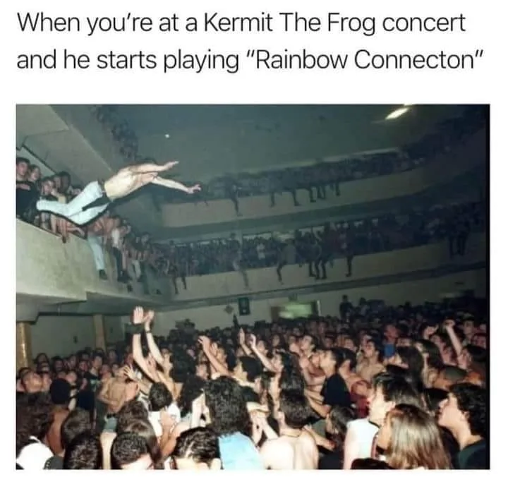 kermit the frog meme