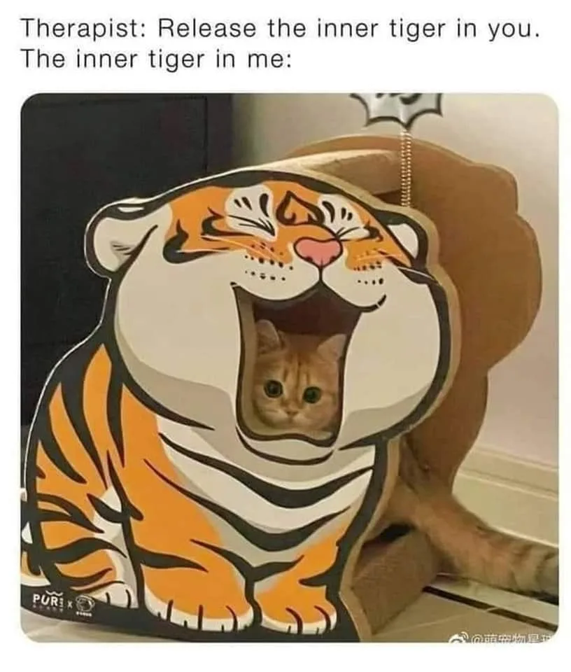 tiger meme