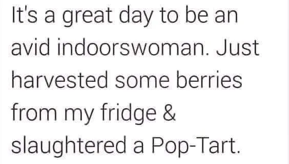 Pop-Tart meme