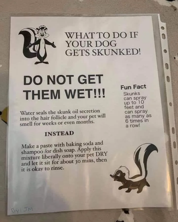 skunk meme