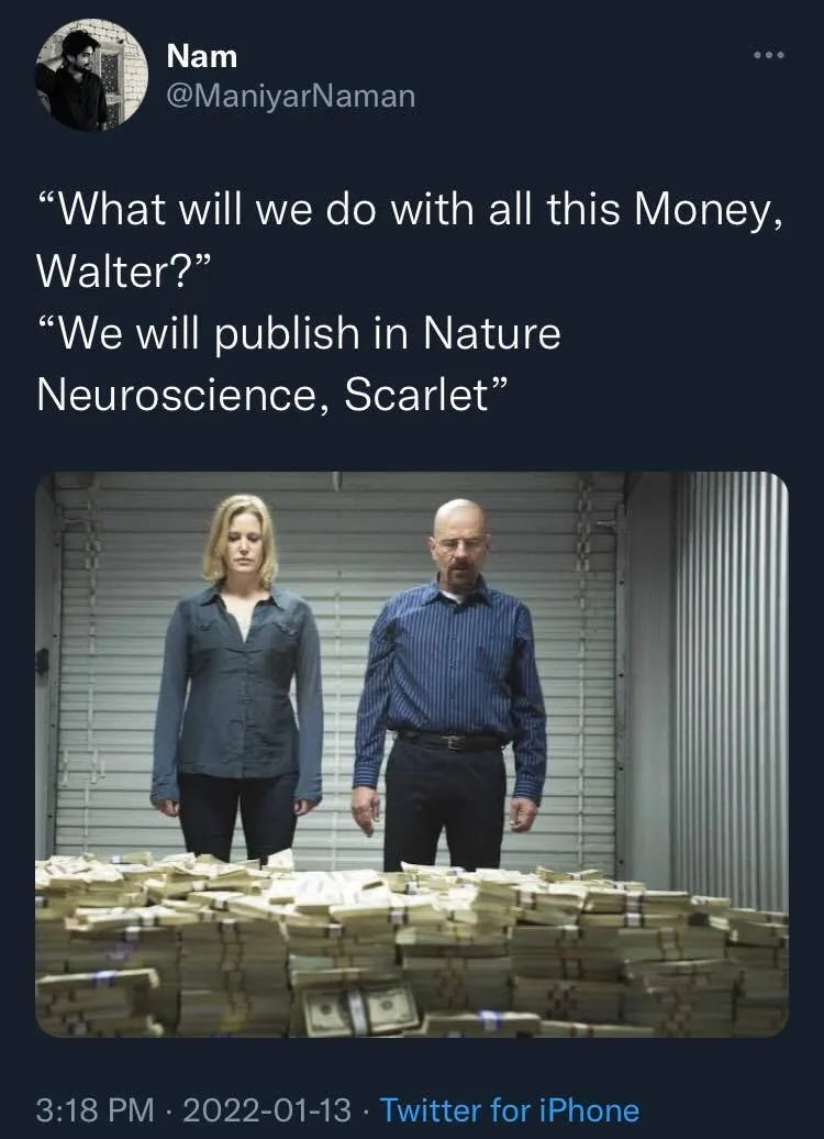 journal writing meme