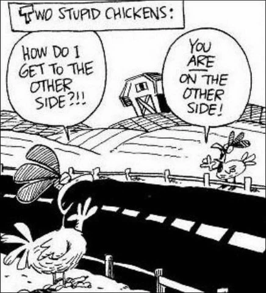 chicken meme