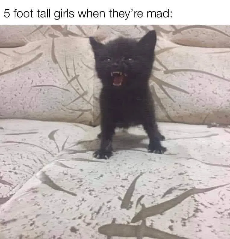 shortness meme