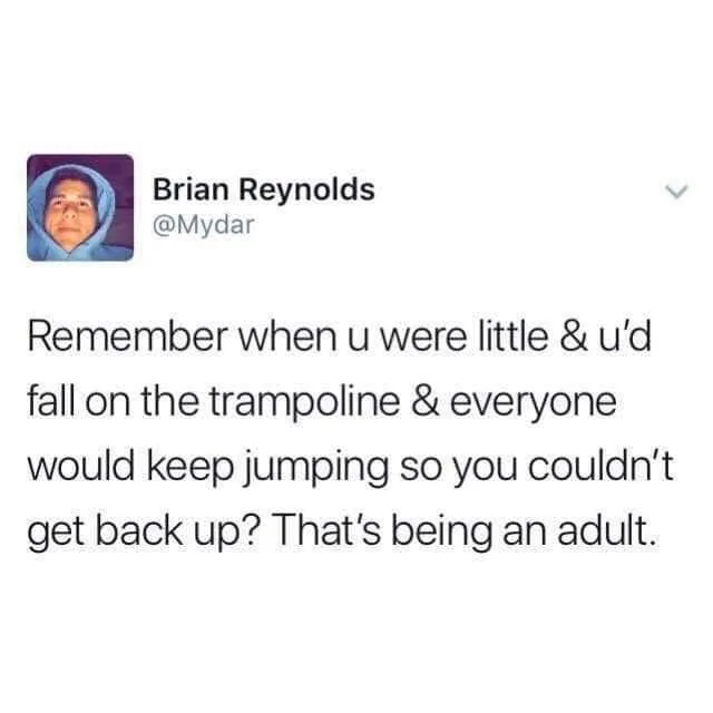 trampoline meme