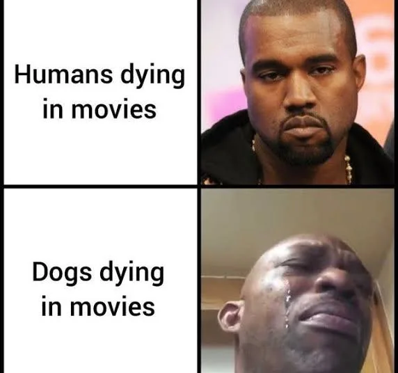 dog lover meme