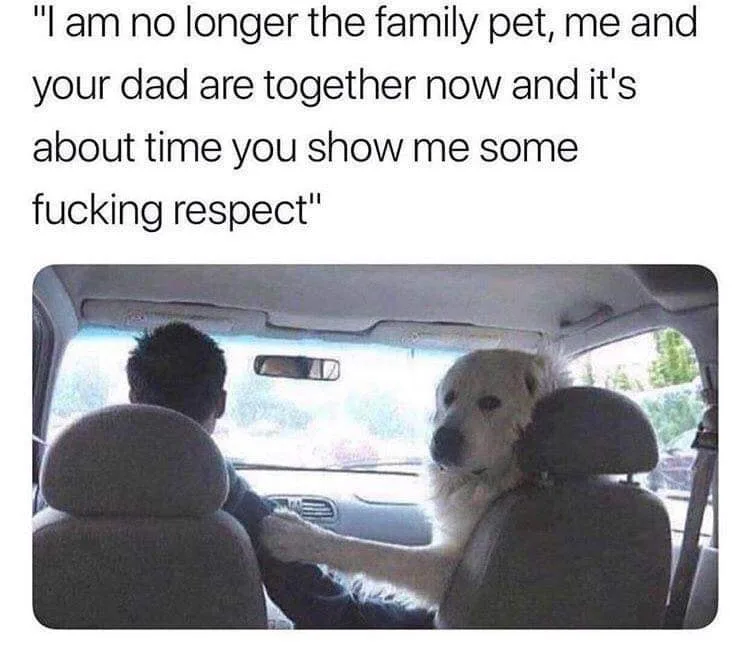 stepmother meme