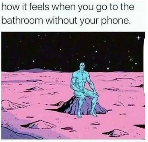 bathroom meme