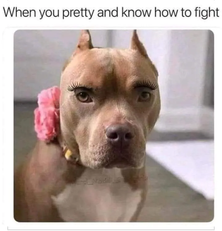 being pretty meme