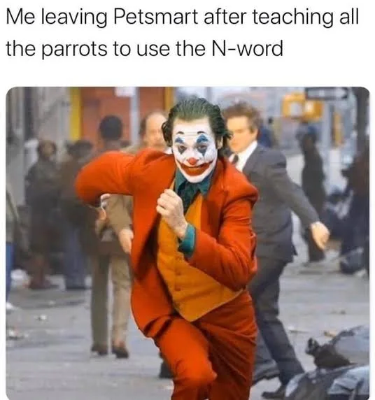 parrot meme