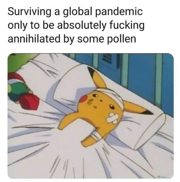 hay fever meme