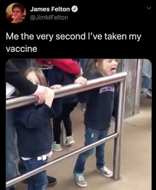 immunity meme