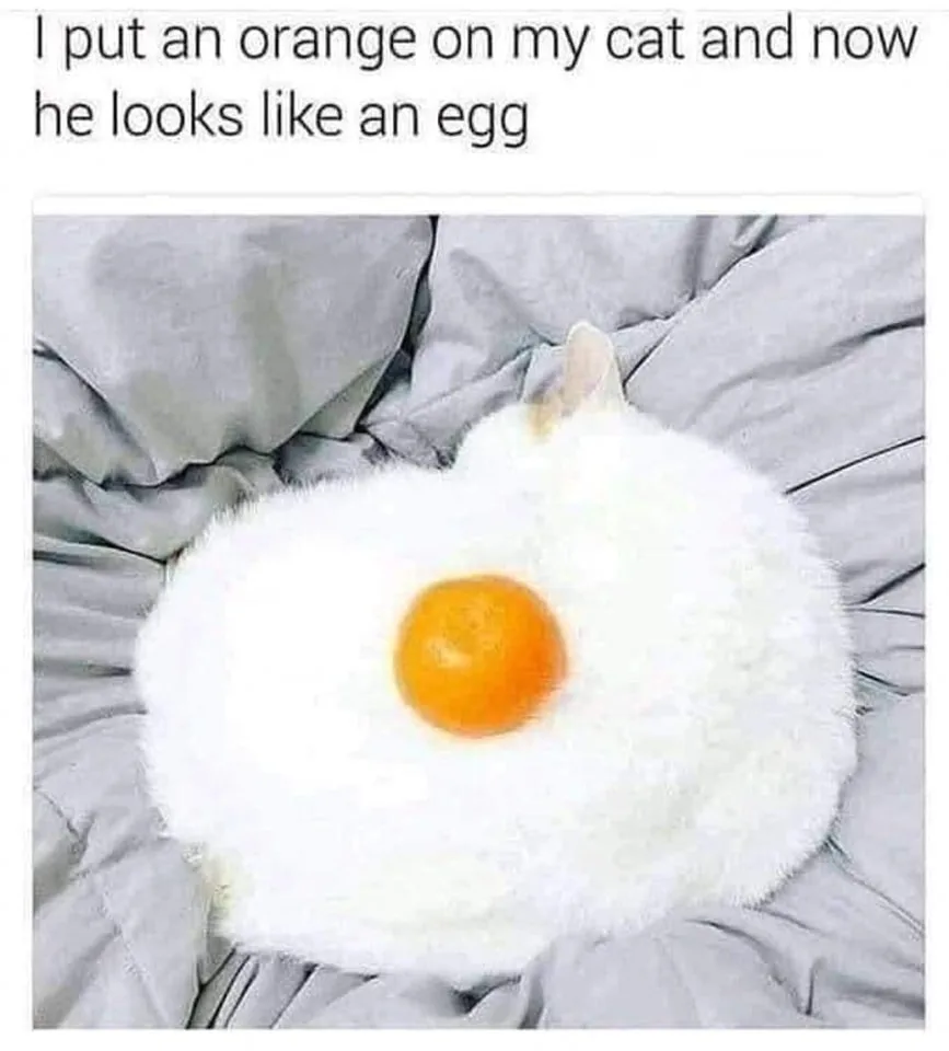 orange meme