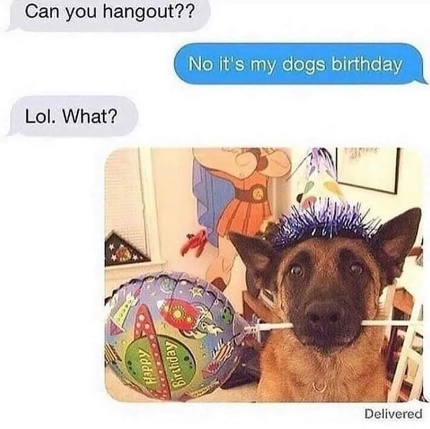 dog lover meme
