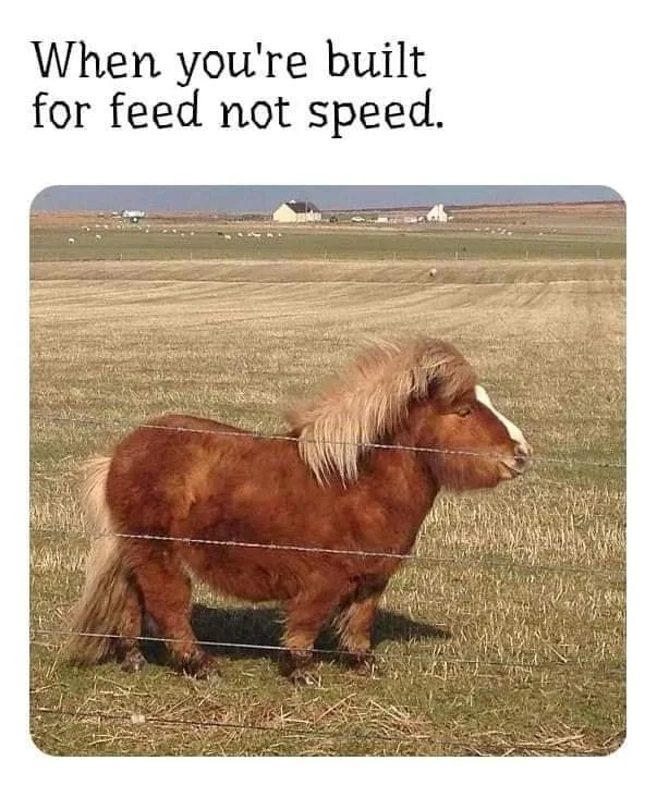 overeating meme