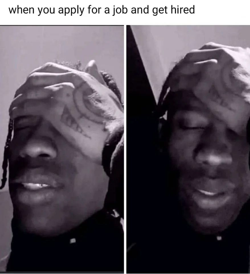 job search meme