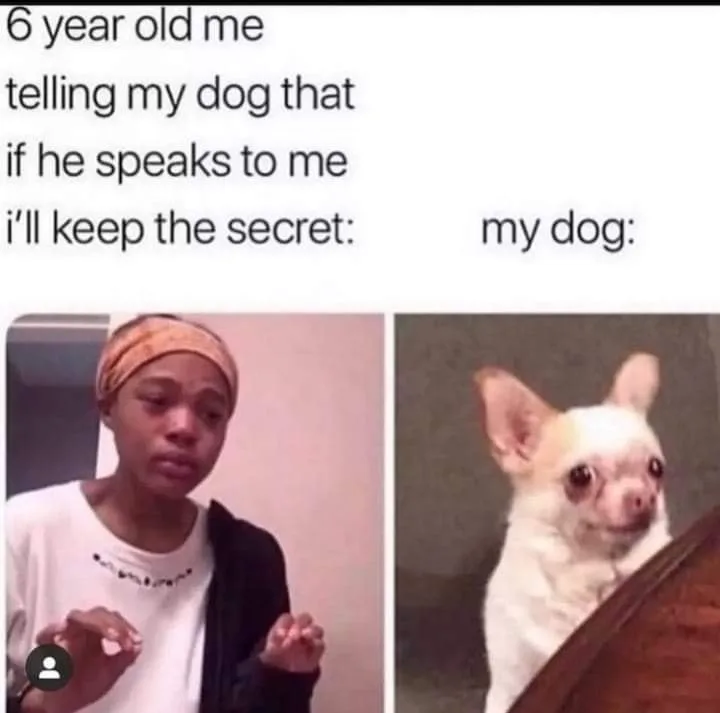 dog lover meme
