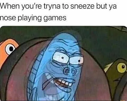 sneeze meme
