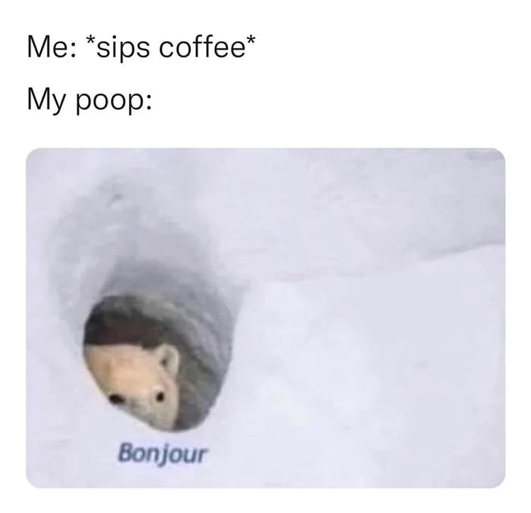 poop meme