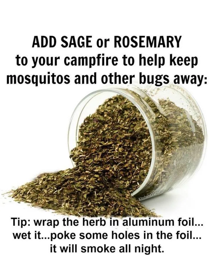 sage meme