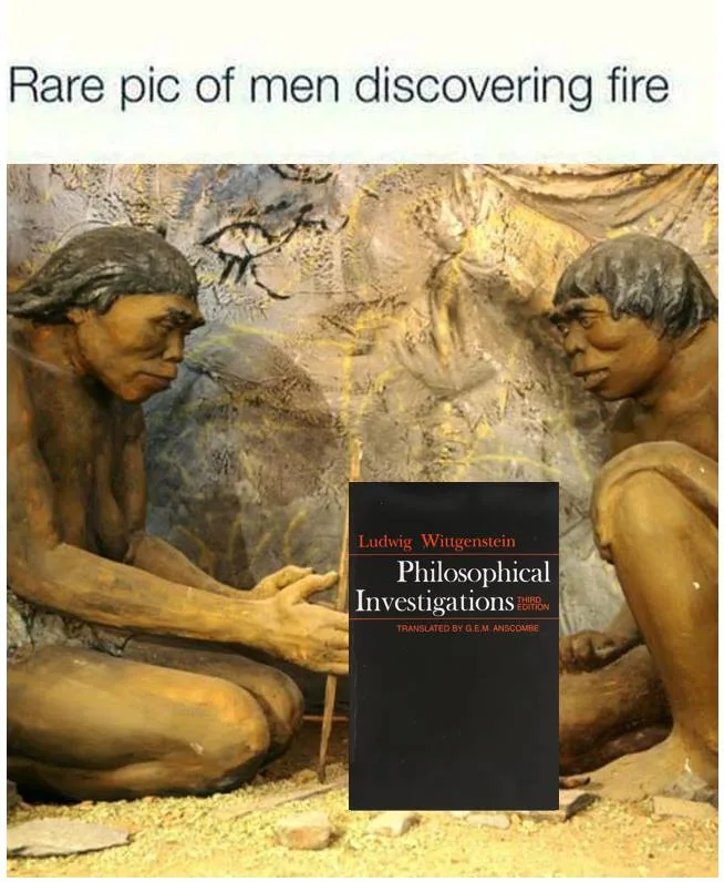 Ludwig Wittgenstein meme
