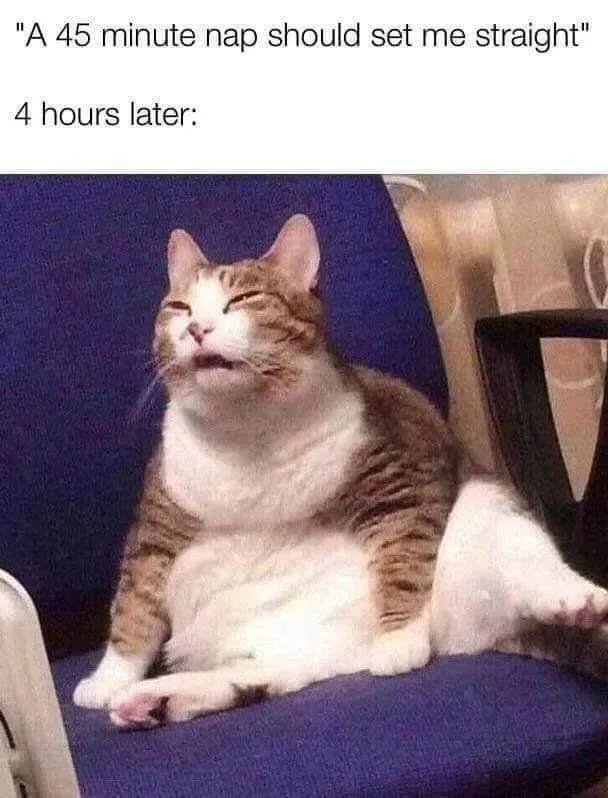 nap meme