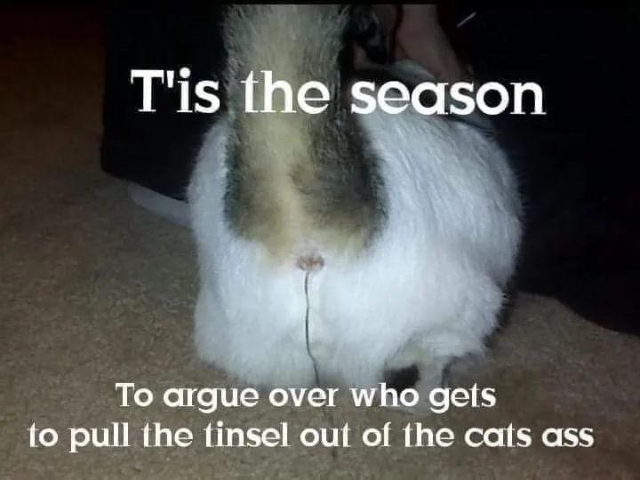 tinsel meme