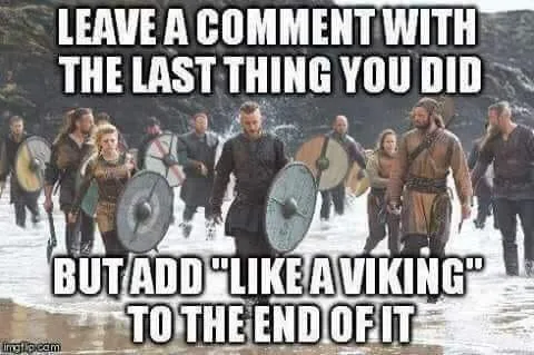 viking meme