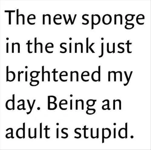 sponge meme