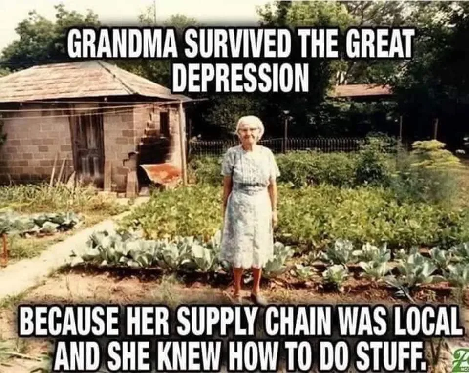 Great Depression meme