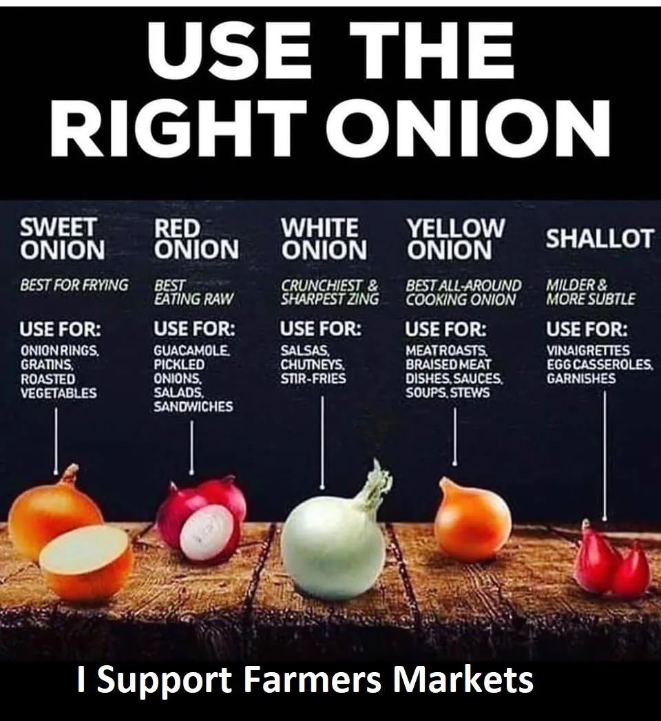 onion meme