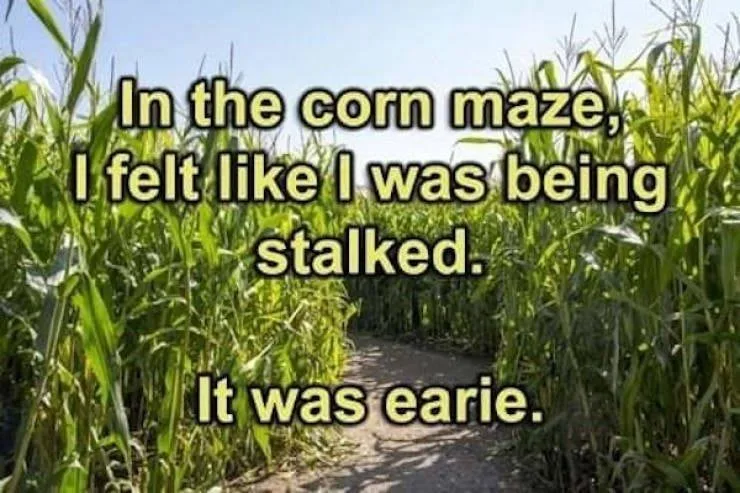 corn meme