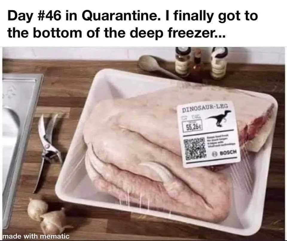 freezer meme