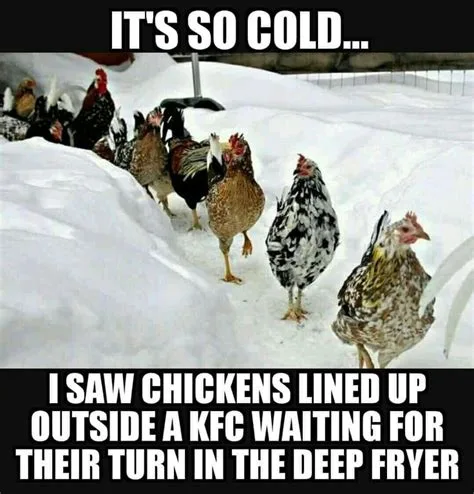 cold meme