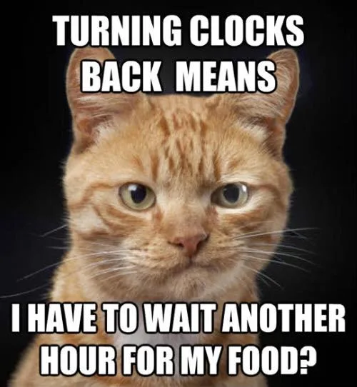 daylight saving time meme