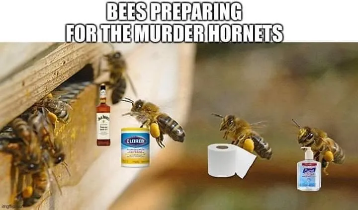 bee meme