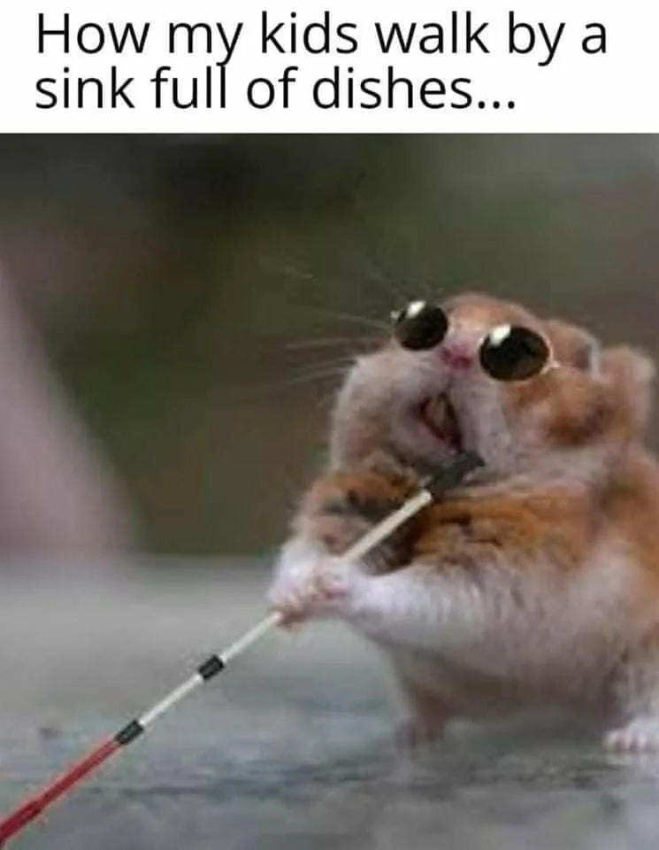 doing the dishes meme