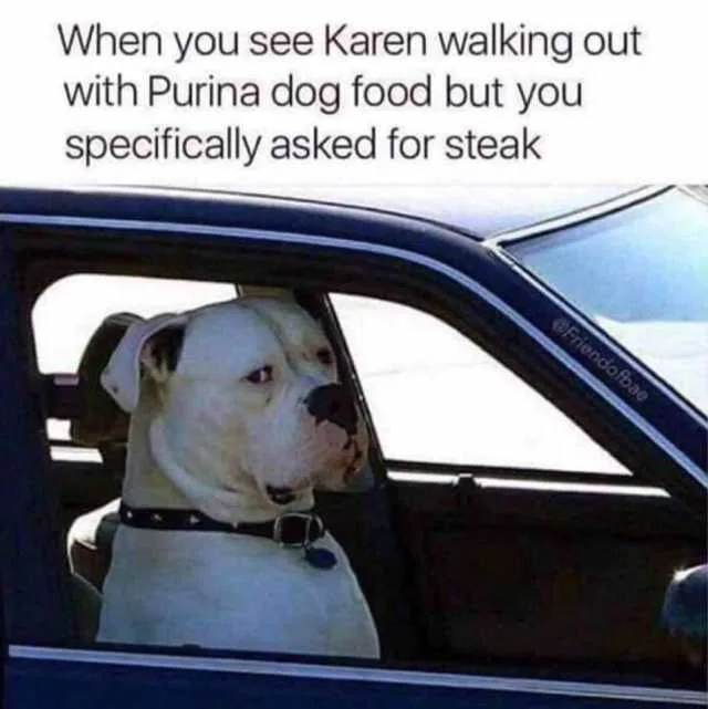 dog food meme
