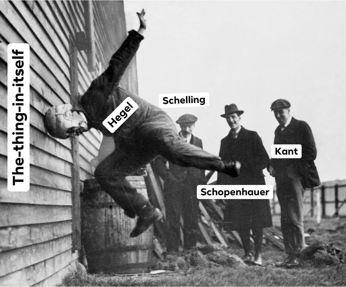 Arthur Schopenhauer meme