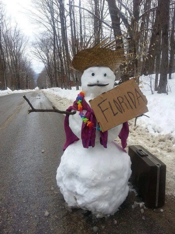 hitchhiking meme